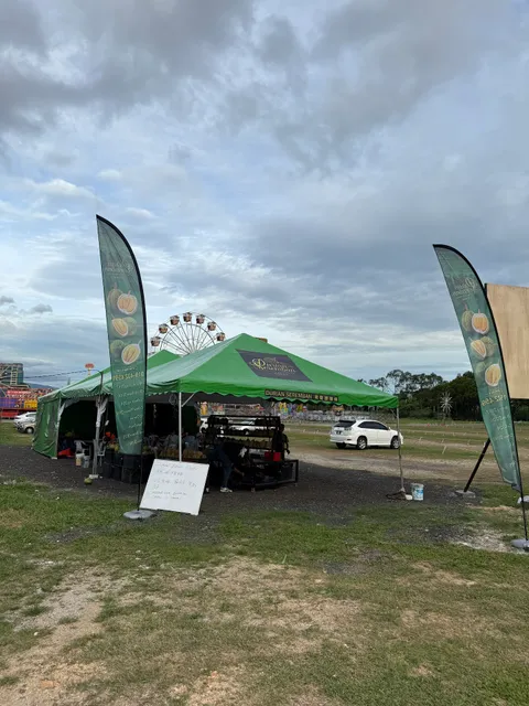 芙蓉榴莲虫《Durian Seremban》