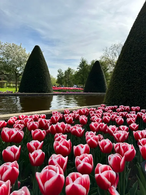 Beatrix Pavilion - Orchids & Anthurium Show
