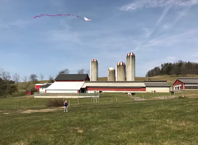 the Creamery at Knob Farm