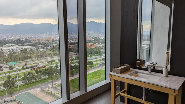 USHIN JAPANESE & GRILL