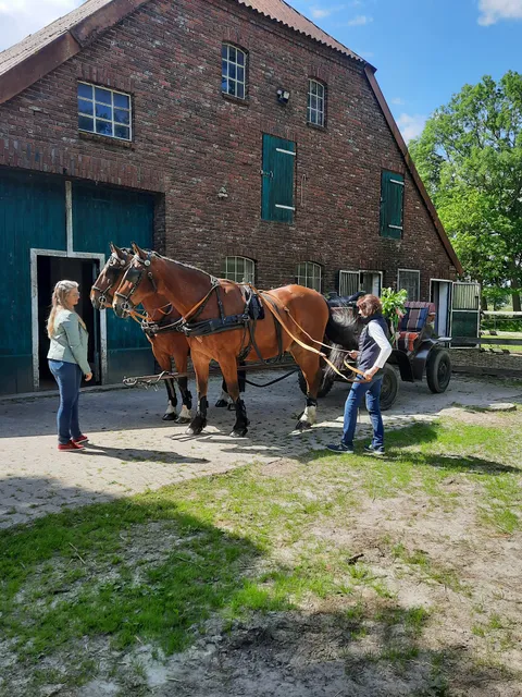 Anja Woschech-Elebracht Reitstall Moorhausen