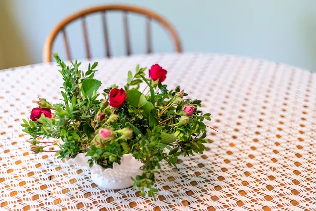 Robertson House Bed & Breakfast