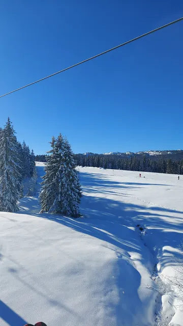Sternenpark Winklmoosalm