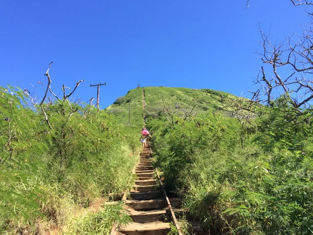 Koko Crater Stairs (Summit)