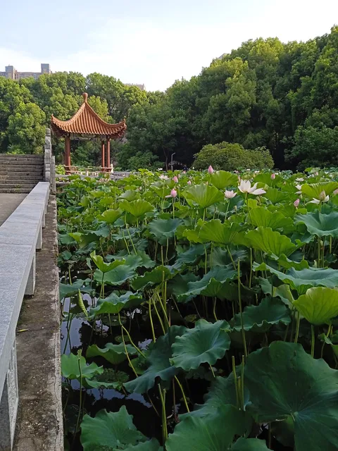Wuhan Institute of Technology