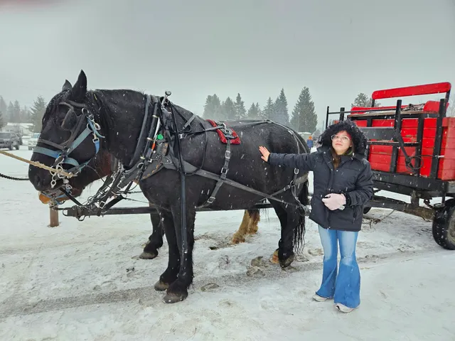 Icicle Outfitters & Guides Inc (Winter Location)