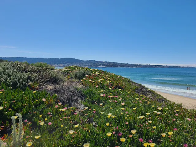 Del Monte Beach