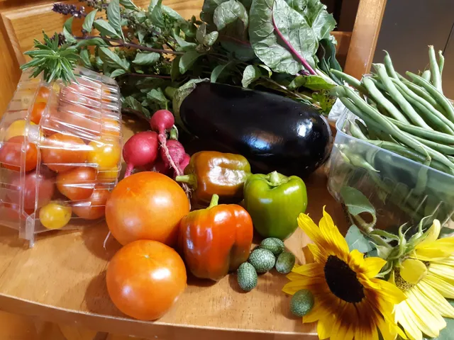 The Ryder Family Farm