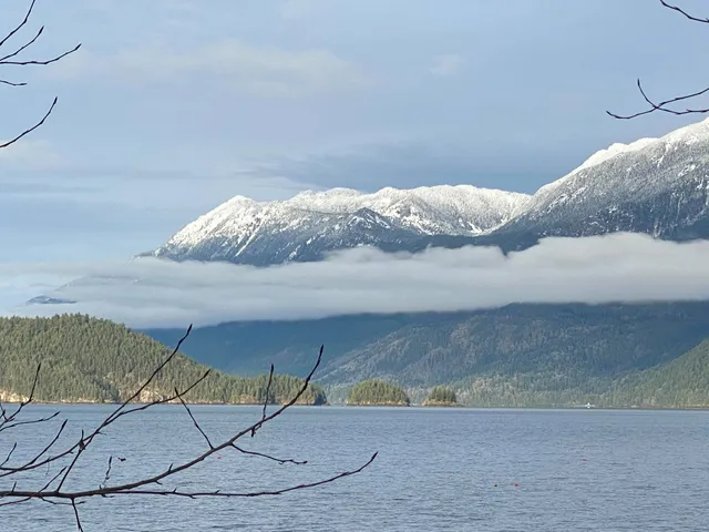Harrison Lake Cottages