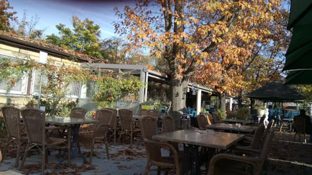 Clubhaus S. V. Waldhof 07 "Bei Dimi"