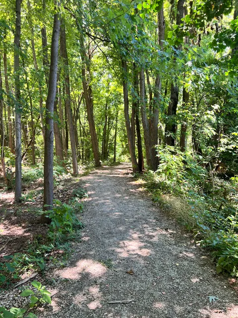 McKnight Trail Head