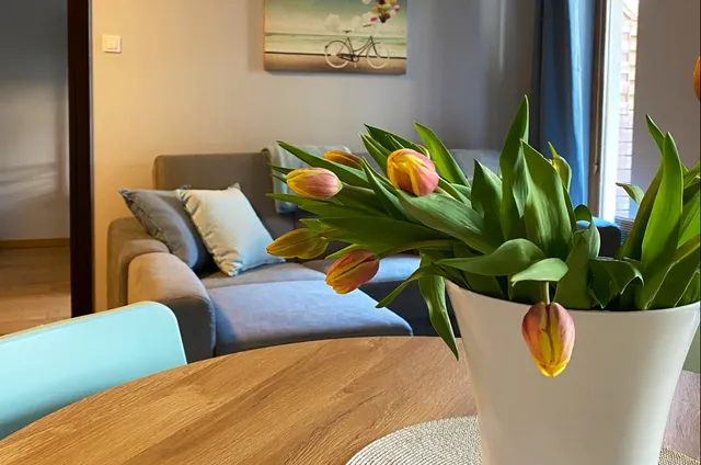 Apartament BalticPark Stegna Lipowa 32a/9