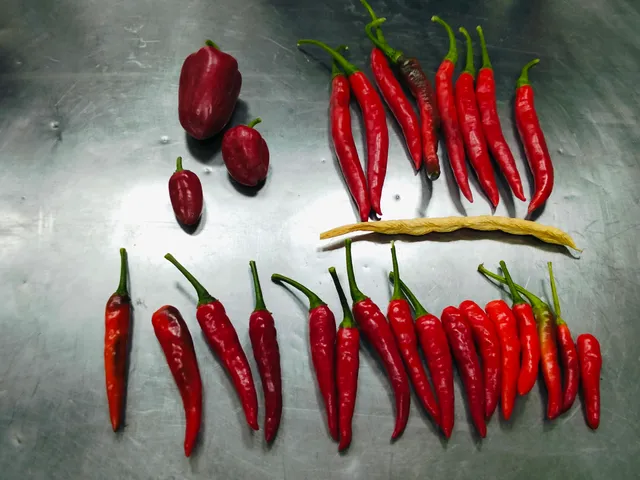 Wedding Banquet Youyi Village