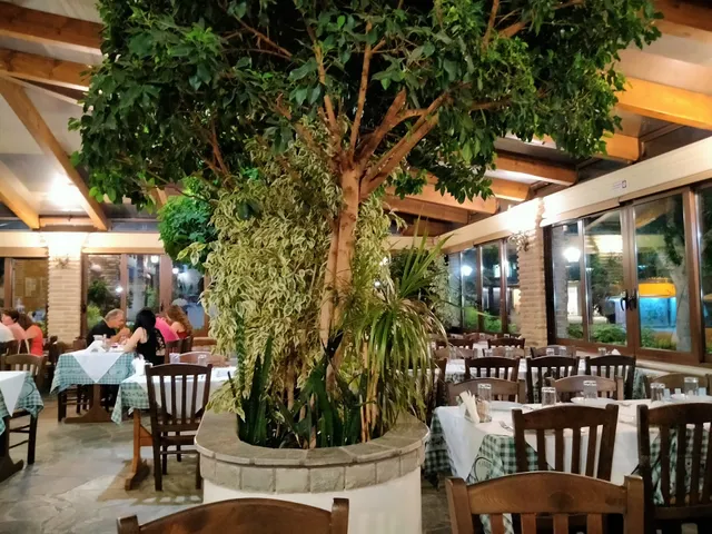 Μυρτιά - Περιστέρι