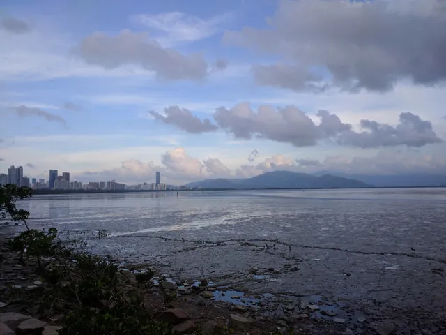 红树林自然保护区