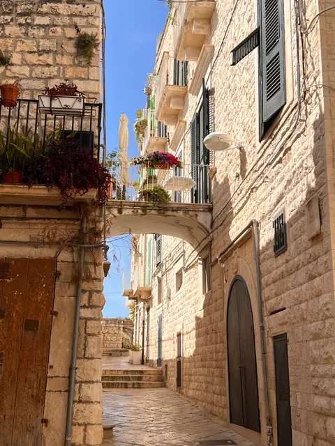 Seafront Holidays & Workstays