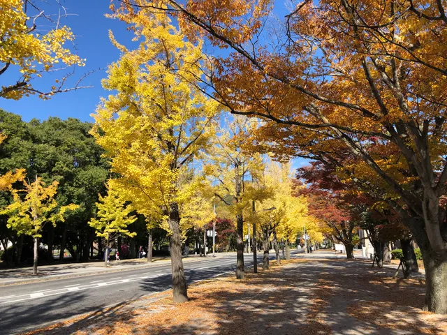 Okayama University Tsushima Campus