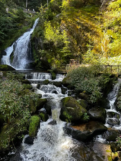 Triberg Waterfalls - Main Entrance