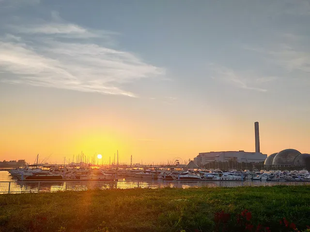 Yumenoshima Park BBQ Field