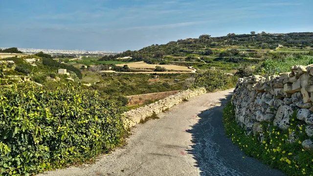 Il-Madonna tal-Girgenti