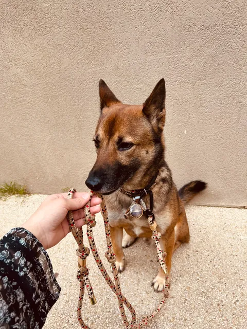 La boutique de Baloo