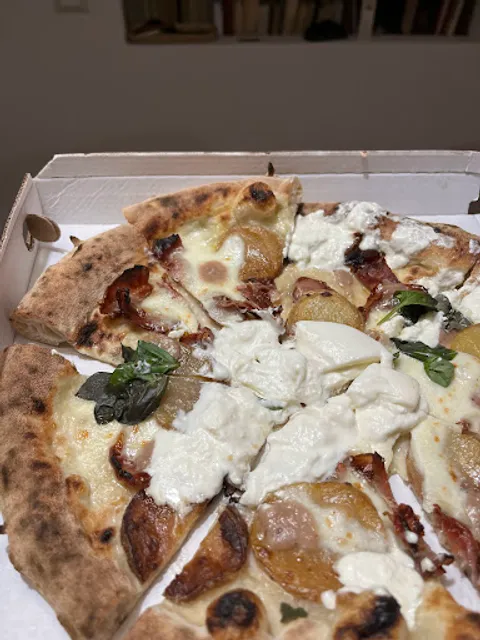 Fermento pizza contemporanea