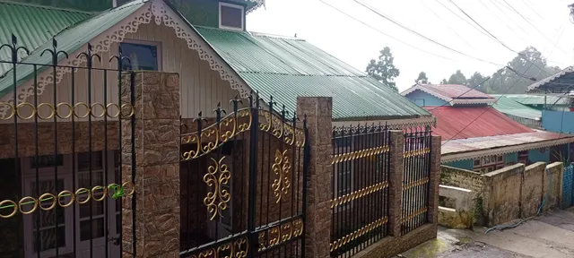 Silver Sun Darjeeling