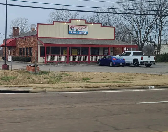 Flights Fish and Wings