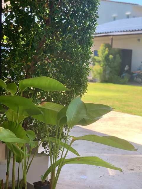 De 8 Huahin Boutique Stay