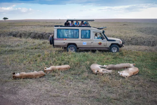 Cross to Africa Safaris