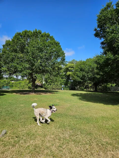 Bartow Dog Park