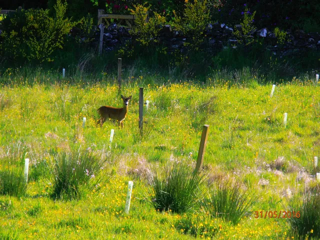 Burnside Cottage - Camserney Mill Cottages