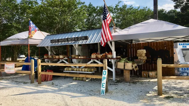 Whiteraven's Nest 2014