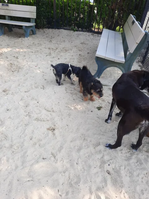 Margate City Dog Park