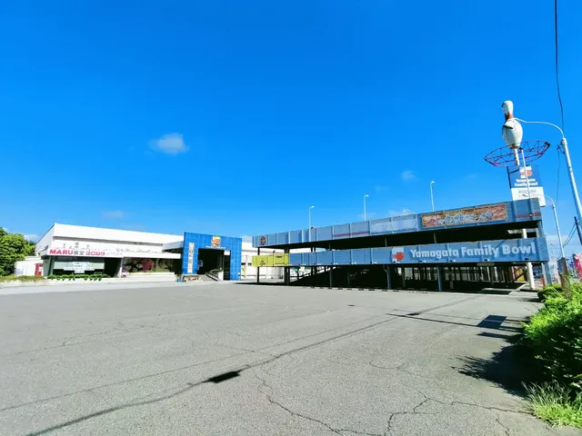 Yamagata Family Bowl