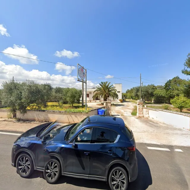 La Palma della Felicità