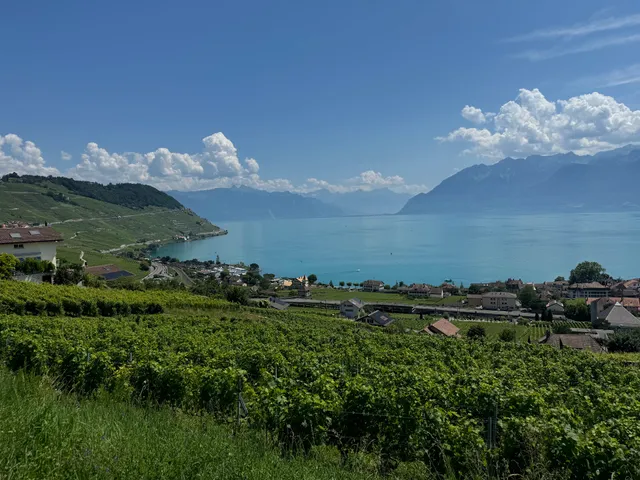 Lavaux Express