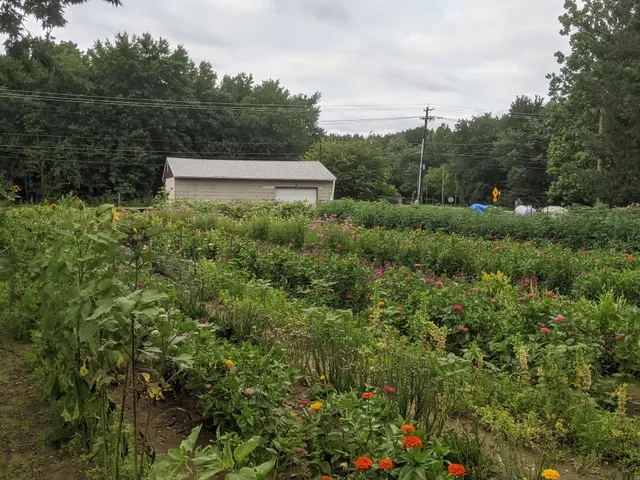 Jersey Jules Farm Stand