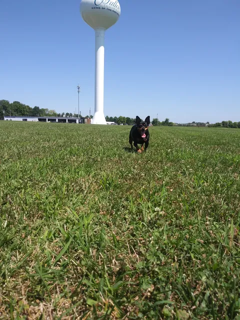 O'Fallon Community Food Pantry