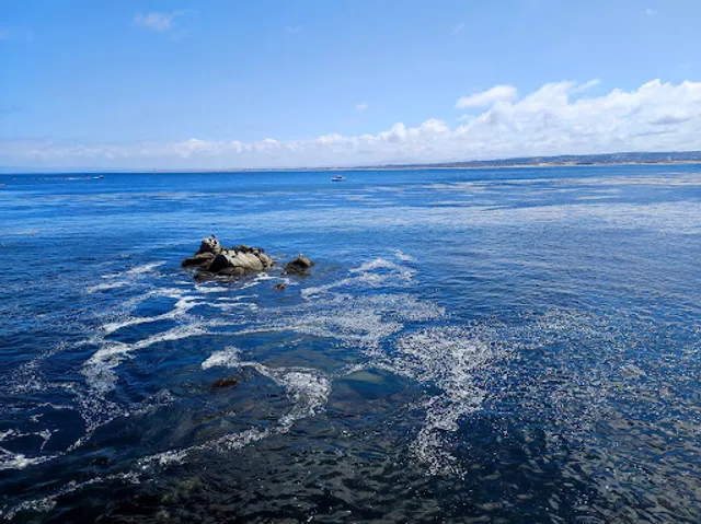 Monterey Bay Sight Point