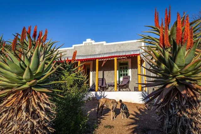 Matjiesvlei Guestfarm