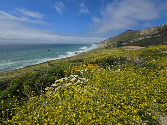 Mussel Rock Park Parking Lot