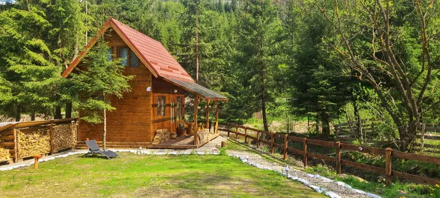 Pura Vida - Forest Home