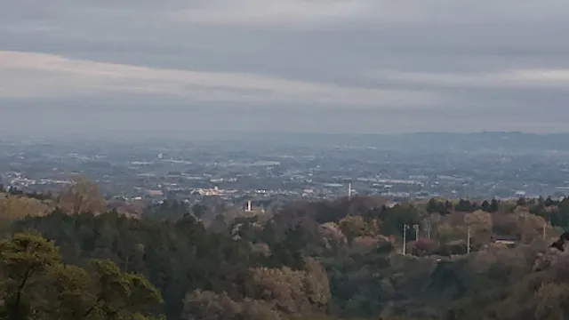 道の駅 ぐりーんふらわー牧場・大胡 展望塔