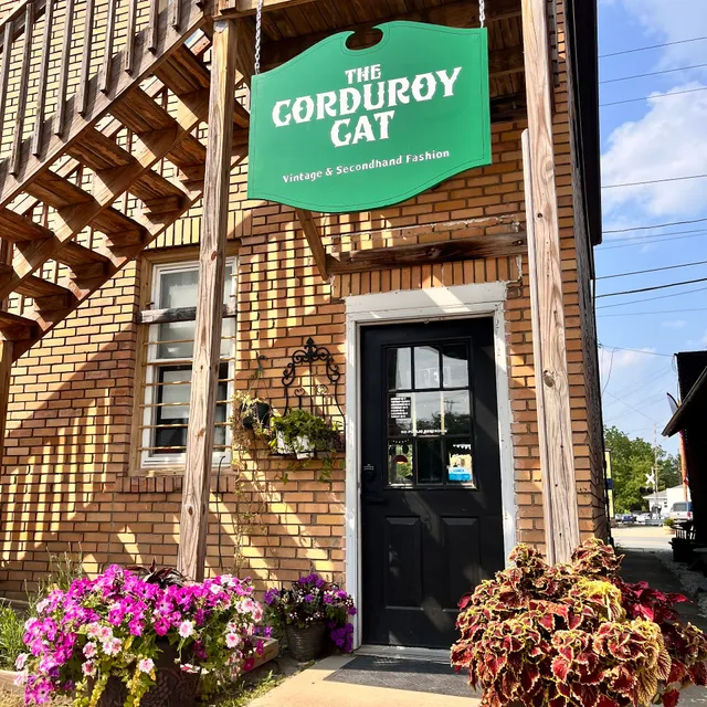 The Corduroy Cat