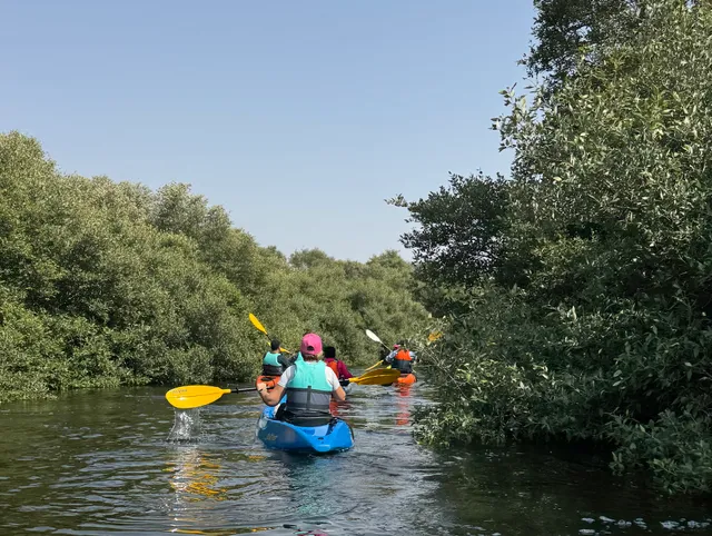 Al Zorah Mangrove Tours