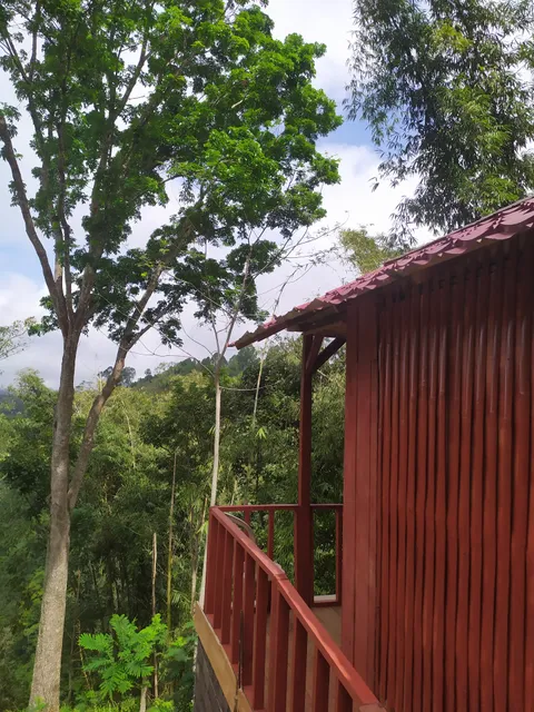 Happy monkeys village