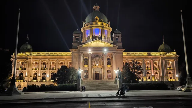 Black Horses at Play