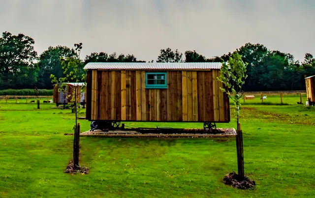 Honeysuckle Holidays