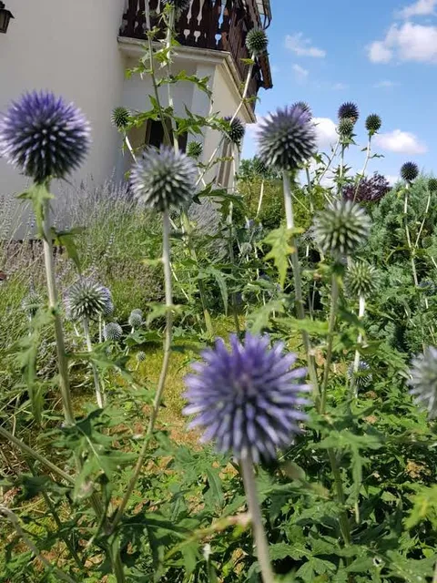 Ferienwohnungen Schmidt, Taunusstein